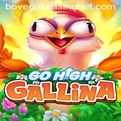 Discover the Thrilling World of GoHighGallina at BoVegas Casino